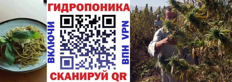 Canna-Cookies конопля  Домодедово 