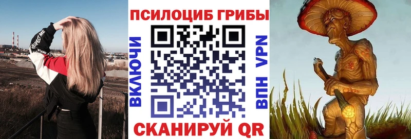 даркнет сайт  Домодедово  кракен как войти  Псилоцибиновые грибы мухоморы 
