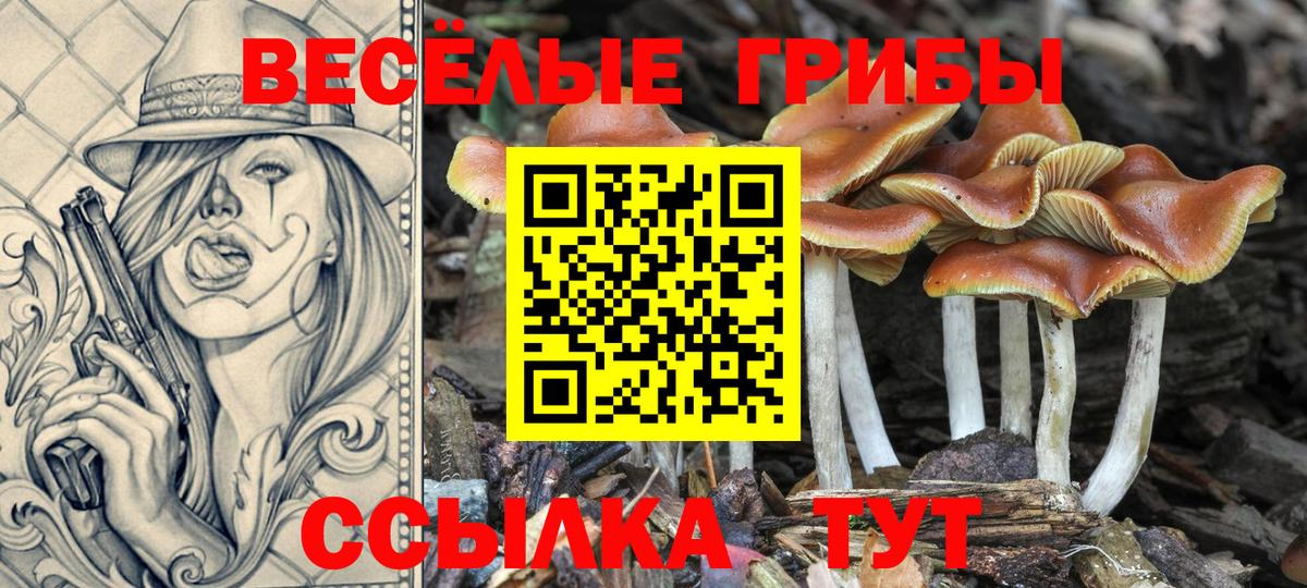 Псилоцибиновые грибы Psilocybine cubensis  Вход с VPN  Домодедово 